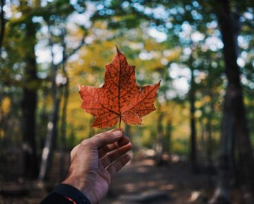 Top 10 Most Beautiful Places in Canada