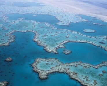 The Great Barrier Reef : Things to Do and Interesting Facts.